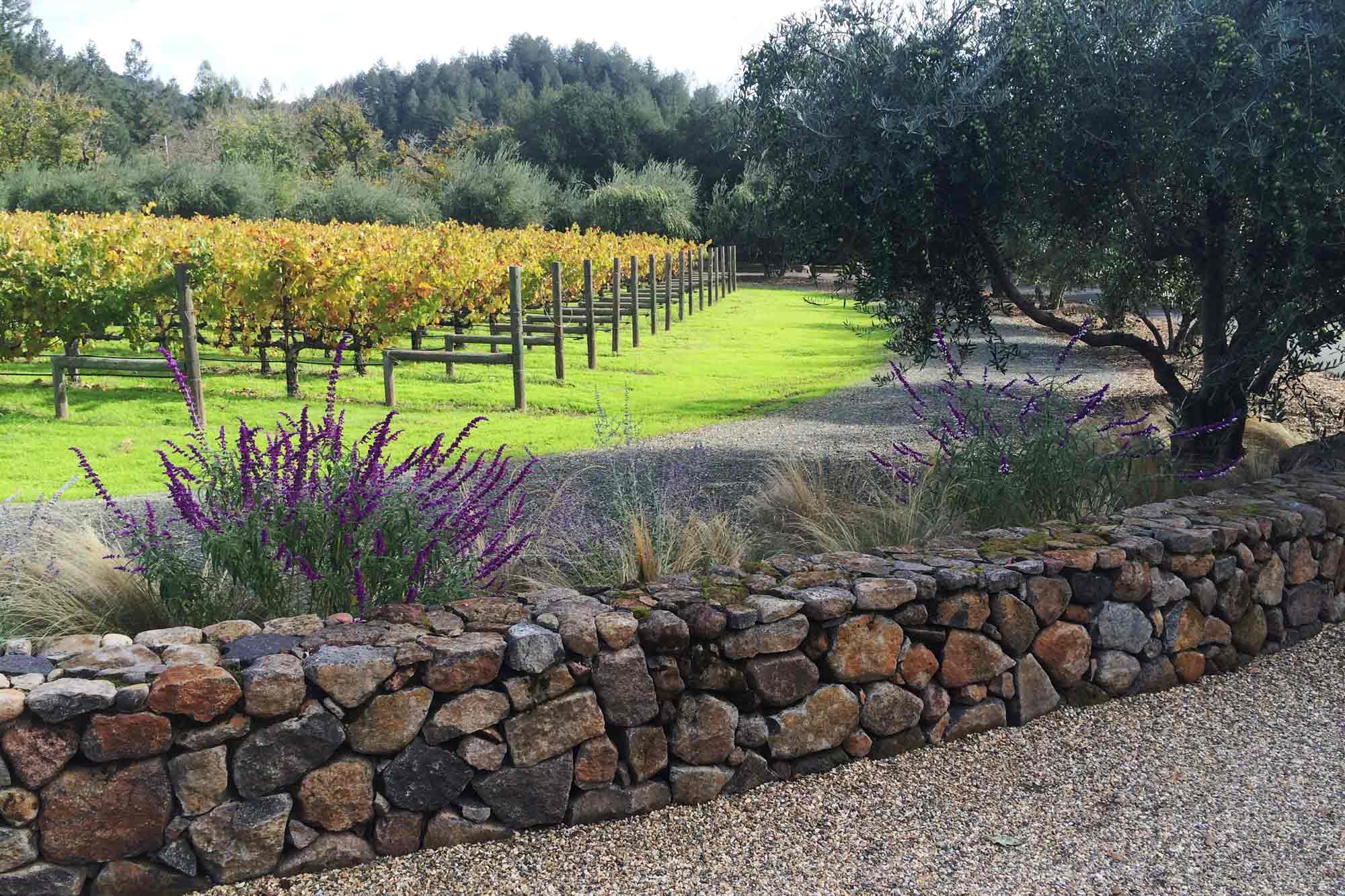 Photo 3 of Calistoga Press