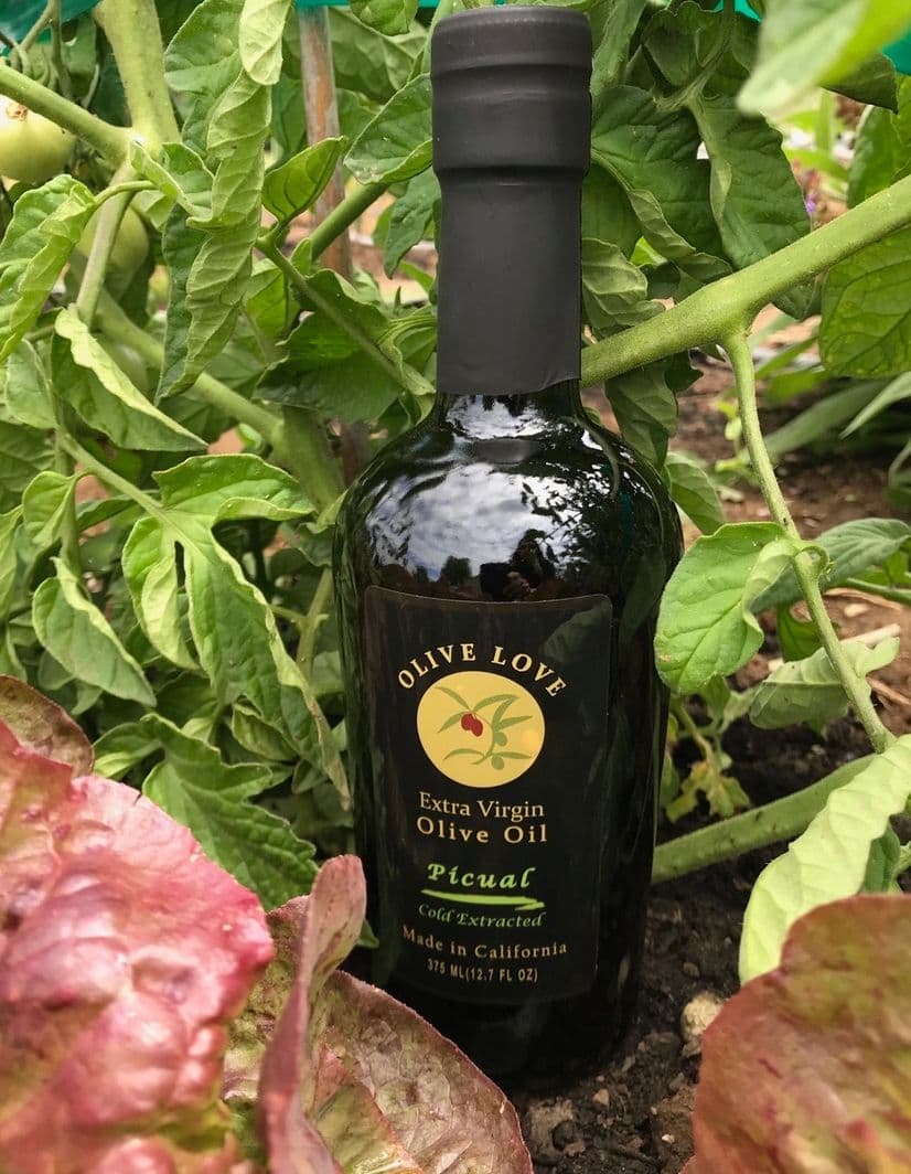 Photo 1 of Olive Love