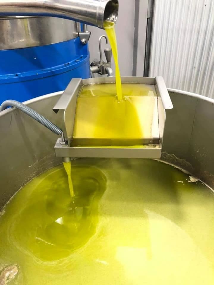 Photo 4 of Central Coast Olive Company